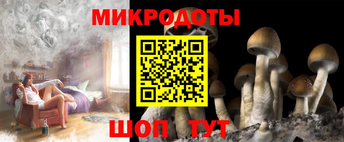Псилоцибиновые грибы Cubensis Ипатово