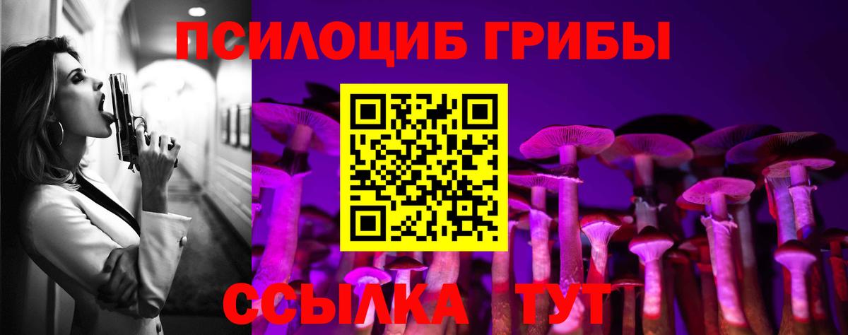Псилоцибиновые грибы мухоморы  Вход с VPN  Ипатово 